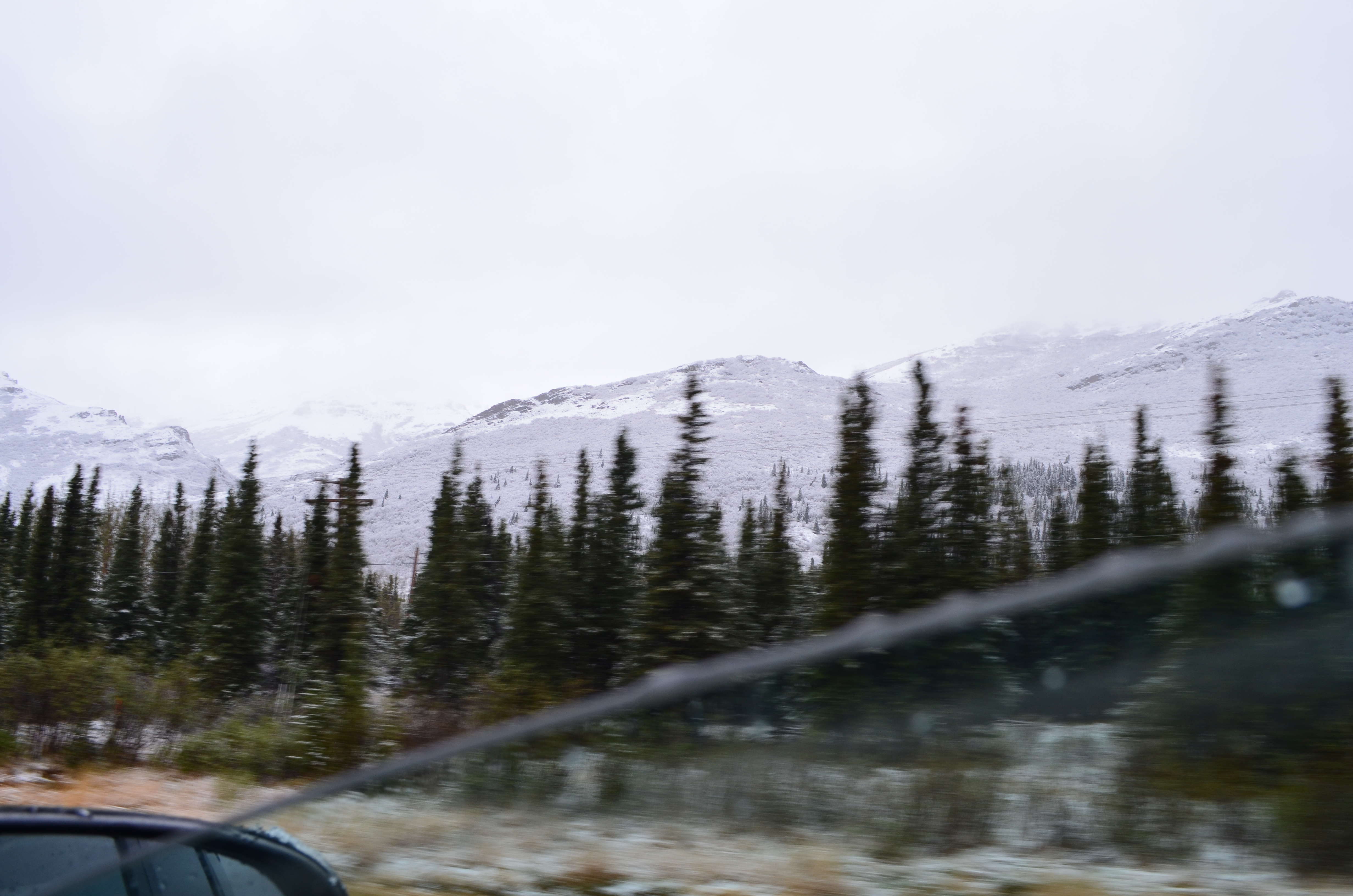 ./2017/08 - Alaska Cruise/03 - Denali/DSC_0187.JPG